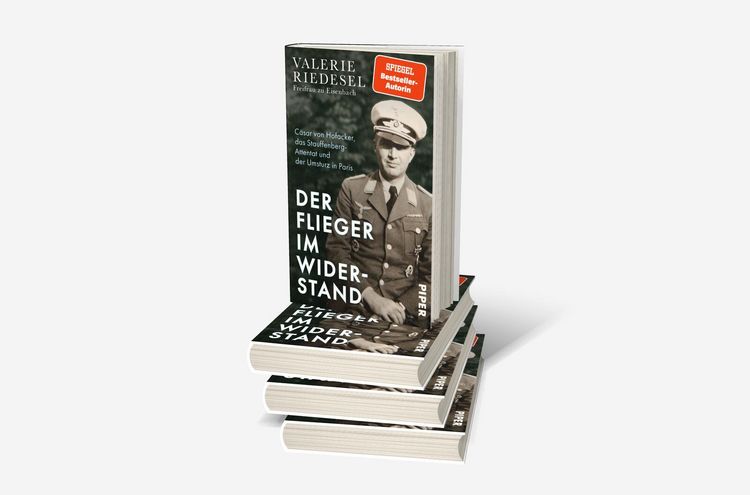 Produktbild: Der Flieger im Widerstand