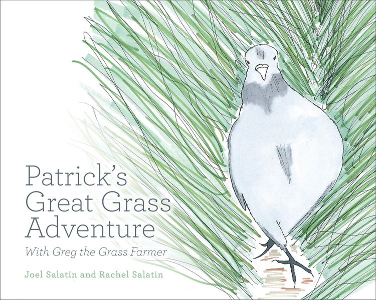 Produktbild: Patrick's Great Grass Adventure