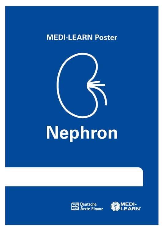 Produktbild: Nephron-Poster