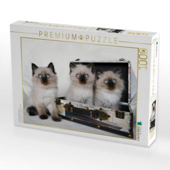 Produktbild: CALVENDO Puzzle Crusaders Ragdoll Katzen | 1000 Teile Lege-Gr&ouml;&szlig;e 64x48cm Foto-Puzzle f&uuml;r gl&uuml;ckliche Stunden
