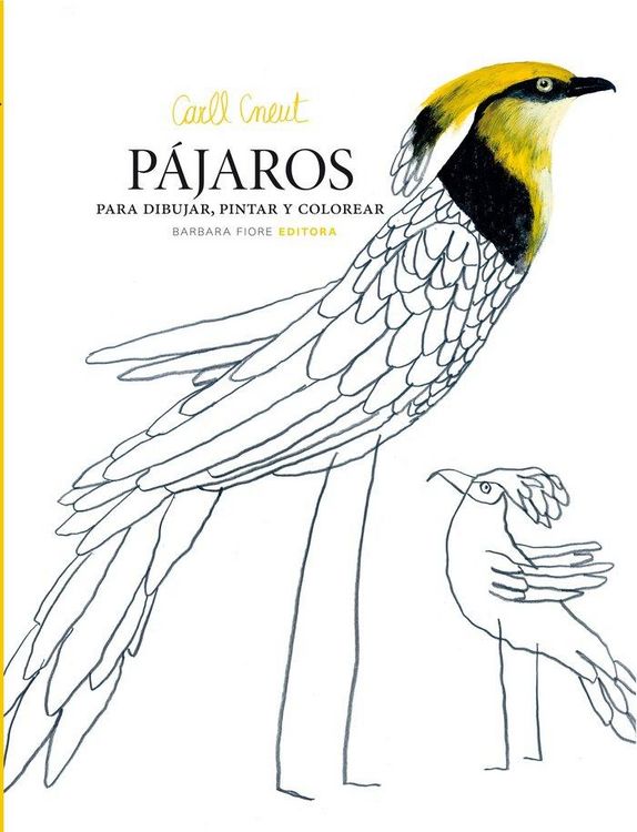 Produktbild: P&aacute;jaros para dibujar, pintar y colorear