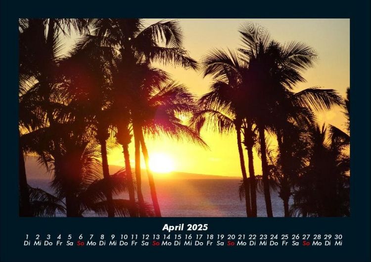 Produktbild: Palmentraum 2025 Fotokalender DIN A4