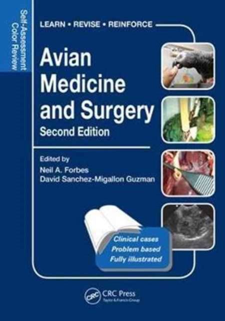 Produktbild: Avian Medicine and Surgery