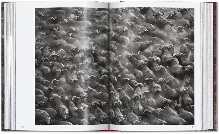 Produktbild: Sebasti&atilde;o Salgado
