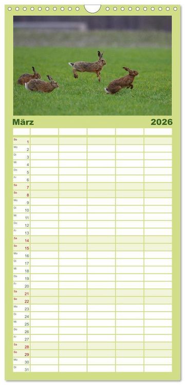 Produktbild: Familienplaner 2026 - Feldhasen in H&ouml;chstform mit 5 Spalten (Wandkalender, 21 x 45 cm) CALVENDO