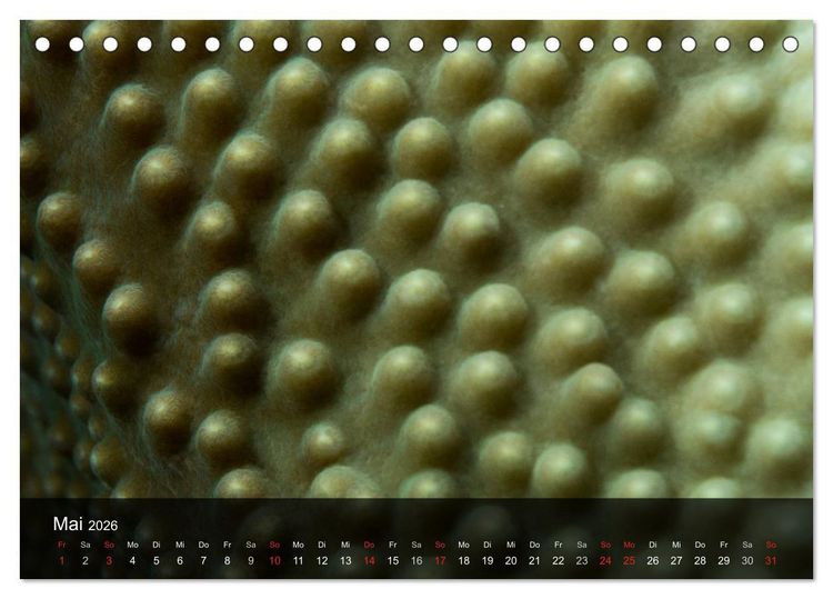 Produktbild: Unterwasser Strukuren (Tischkalender 2026 DIN A5 quer), CALVENDO Monatskalender