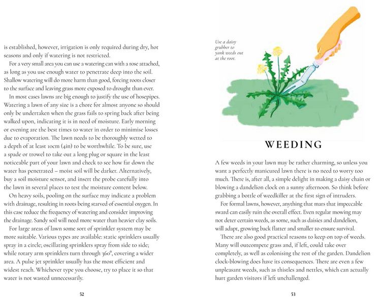 Produktbild: PERFECT LAWNS HB