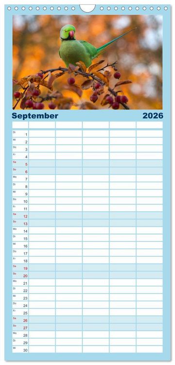 Produktbild: Familienplaner 2026 - Papageien - Frech, sch&ouml;n und schlau mit 5 Spalten (Wandkalender, 21 x 45 cm) CALVENDO