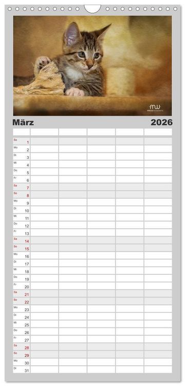 Produktbild: Familienplaner 2026 - Zauberhafte K&auml;tzchen mit 5 Spalten (Wandkalender, 21 x 45 cm) CALVENDO