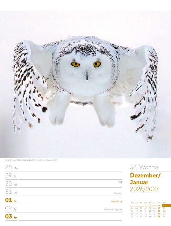 Produktbild: V&ouml;gel Wochenplaner Kalender 2027