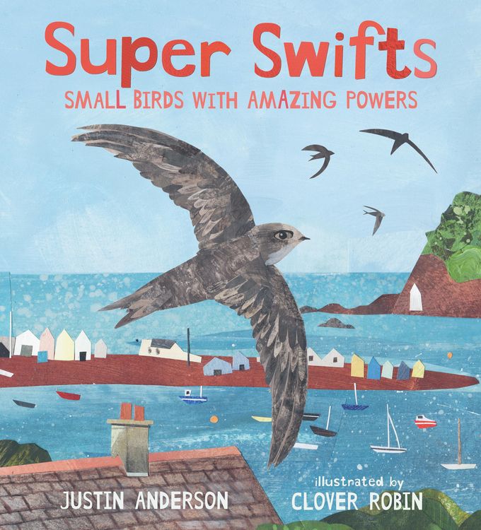 Produktbild: Super Swifts: Small Birds with Amazing Powers