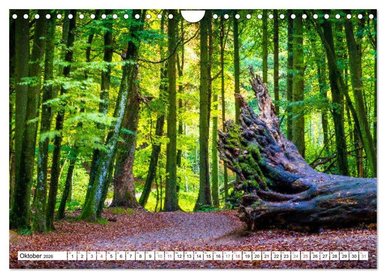 Produktbild: Insel R&uuml;gen - Meine wilde Ostsee-Romanze (Wandkalender 2026 DIN A4 quer), CALVENDO Monatskalender