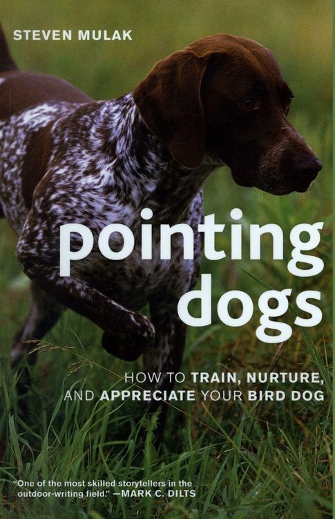 Produktbild: Pointing Dogs