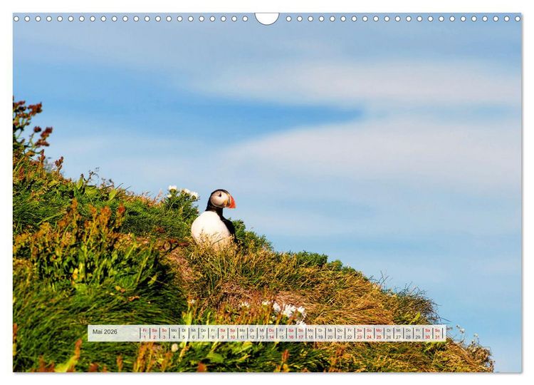 Produktbild: Island - Insel der Sehnsucht (Wandkalender 2026 DIN A3 quer), CALVENDO Monatskalender