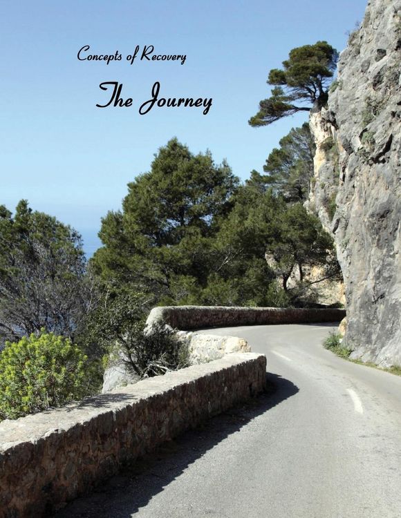 Produktbild: Concepts of Recovery The Journey