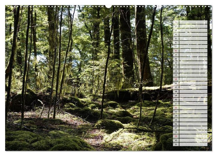 Produktbild: Kia ora, Aotearoa - Wunderbares Neuseeland (hochwertiger Premium Wandkalender 2026 DIN A2 quer), Kunstdruck in Hochglanz