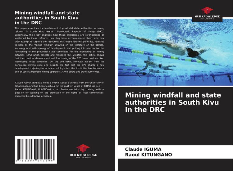 Produktbild: Mining windfall and state authorities in South Kivu in the DRC