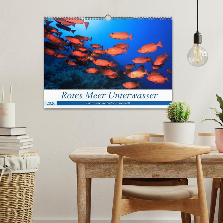 Produktbild: Rotes Meer Unterwasser (Wandkalender 2026 DIN A3 quer), CALVENDO Monatskalender