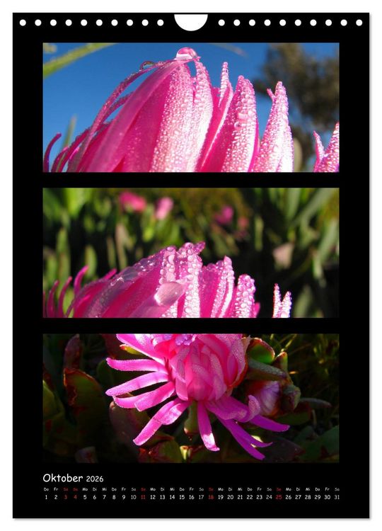 Produktbild: ZAUBERWELT DER BLUMEN - EISKRISTALLE & WASSERPERLEN (Wandkalender 2026 DIN A4 hoch), CALVENDO Monatskalender