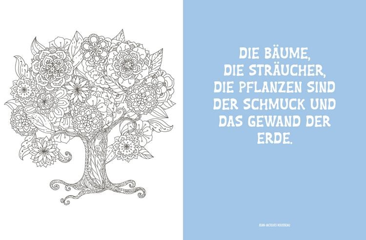 Produktbild: Colorful Mandala &ndash; Botanischer Garten