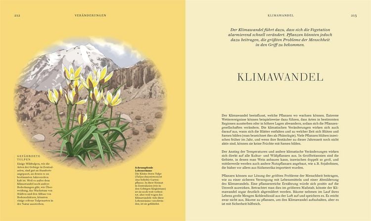 Produktbild: Wildpflanzen