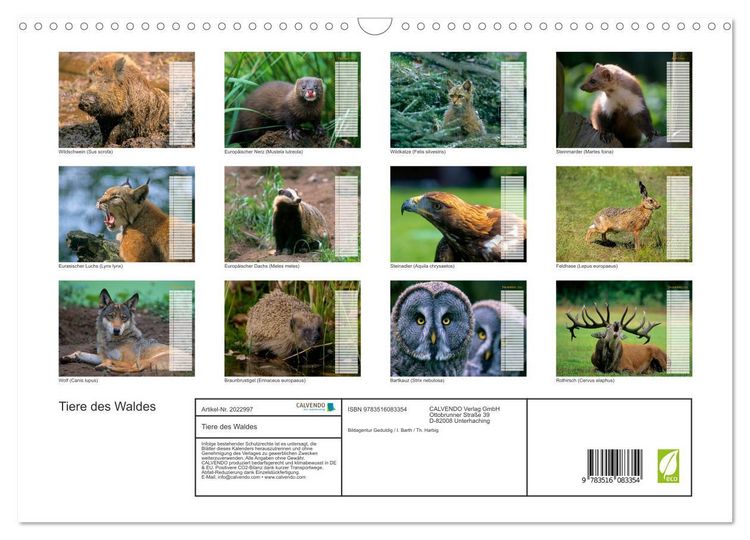 Produktbild: Tiere des Waldes (Wandkalender 2026 DIN A3 quer), CALVENDO Monatskalender