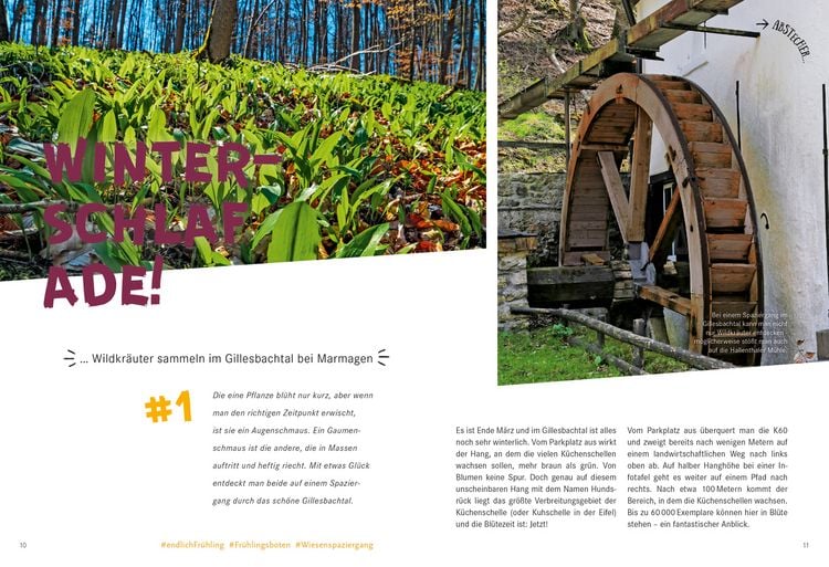 Produktbild: 52 kleine & gro&szlig;e Eskapaden in der Eifel