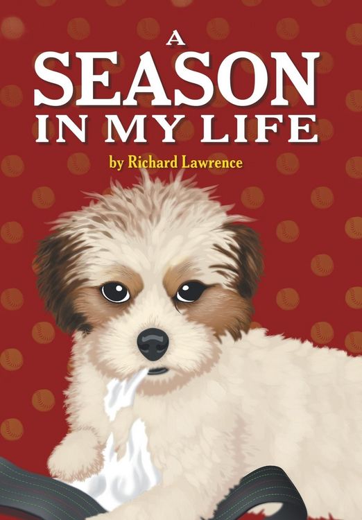 Produktbild: A Season in My Life