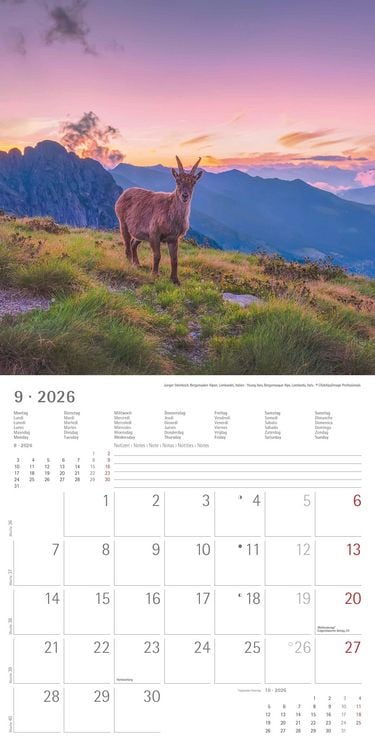Produktbild: Alpha Edition - Alpen 2026 Broschürenkalender, 30x30cm, Wandkalender mit Platz für Notizen und Termine, Aufnahmen der Alpen, Monatsübersicht und Ferie