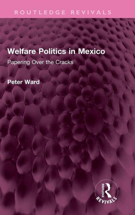 Produktbild: Welfare Politics in Mexico