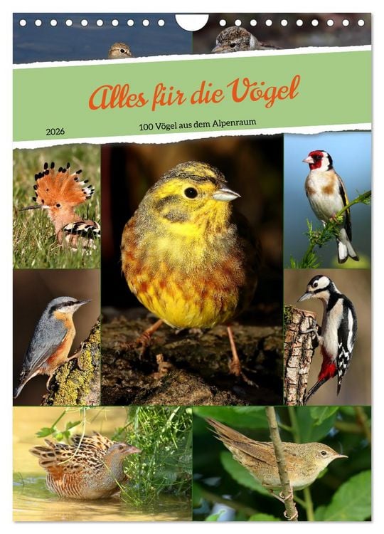 Produktbild: Alles f&uuml;r die V&ouml;gel (Wandkalender 2026 DIN A4 hoch), CALVENDO Monatskalender