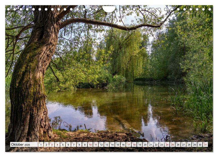 Produktbild: England - Oxford (Wandkalender 2026 DIN A4 quer), CALVENDO Monatskalender