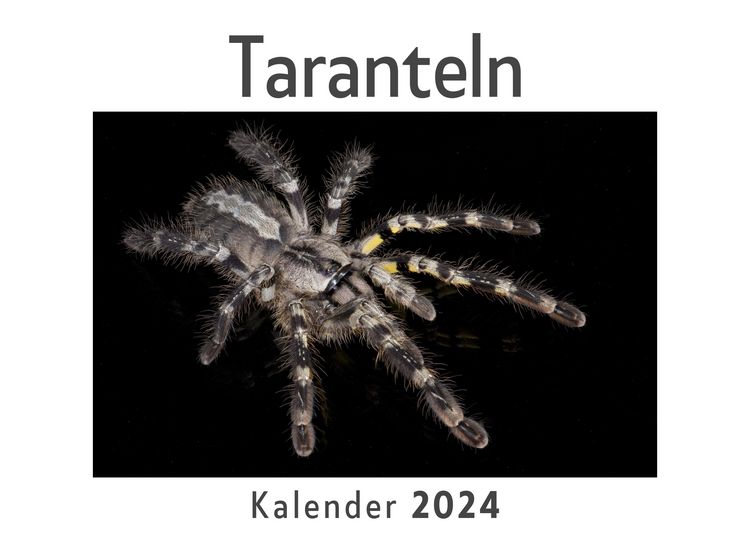 Produktbild: Taranteln (Wandkalender 2024, Kalender DIN A4 quer, Monatskalender im Querformat mit Kalendarium, Das perfekte Geschenk)