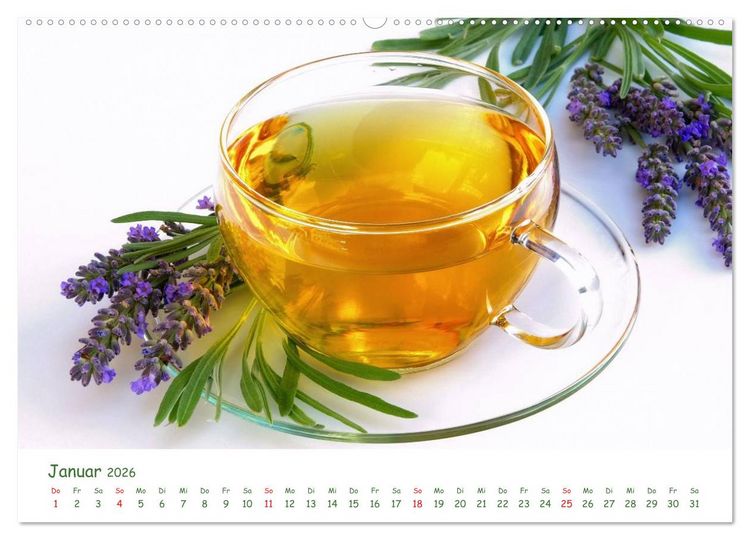 Produktbild: Arzneipflanzen (Wandkalender 2026 DIN A2 quer), CALVENDO Monatskalender