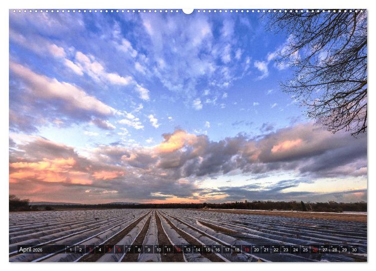 Produktbild: Ketsch am Rhein (hochwertiger Premium Wandkalender 2026 DIN A2 quer), Kunstdruck in Hochglanz