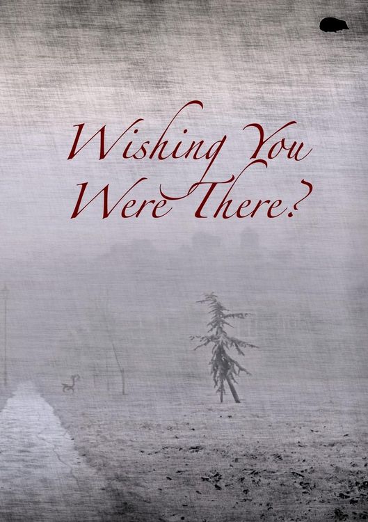 Produktbild: Wishing You Were There?