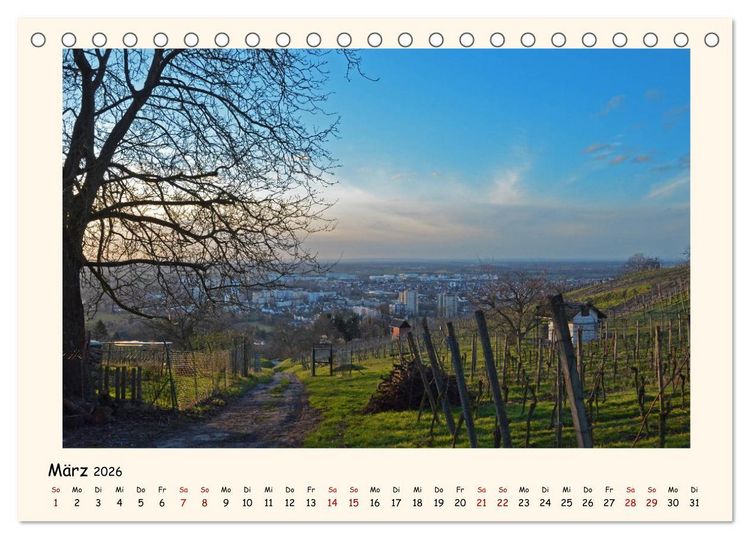 Produktbild: Weinlandschaft - Heppenheim an der Bergstra&szlig;e (Tischkalender 2026 DIN A5 quer), CALVENDO Monatskalender