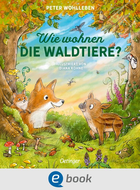 Produktbild: Wie wohnen die Waldtiere?