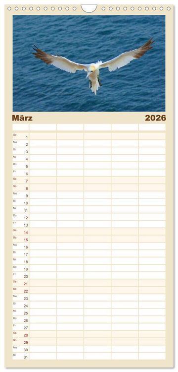 Produktbild: Familienplaner 2026 - An der Nordsee mit 5 Spalten (Wandkalender, 21 x 45 cm) CALVENDO