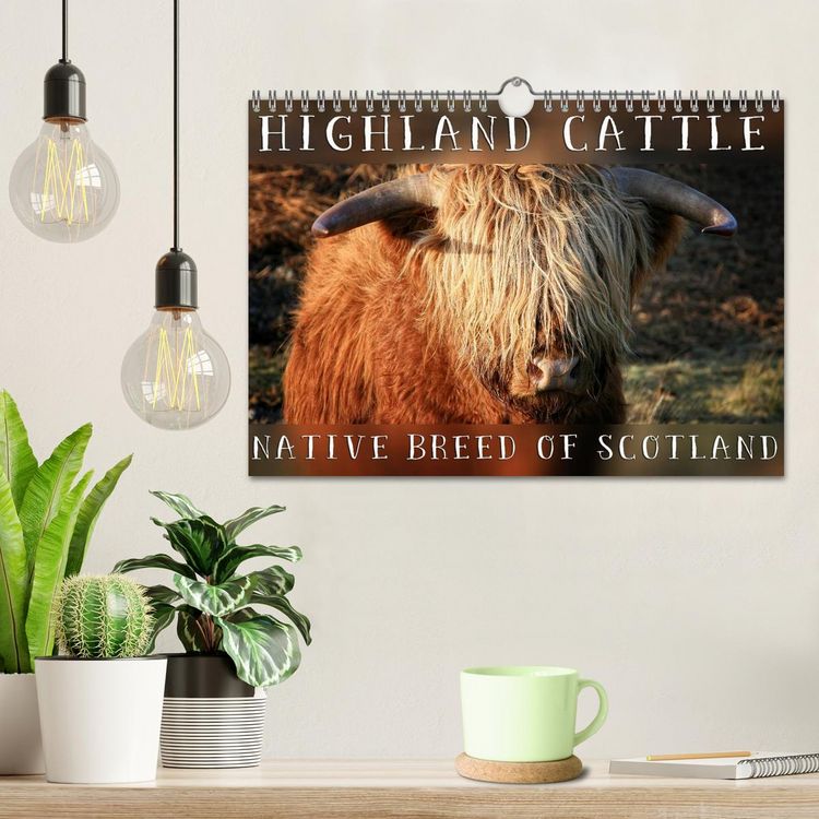 Produktbild: Highland Cattle - Native Breed of Scotland (Wall Calendar 2026 DIN A4 landscape), CALVENDO 12 Month Wall Calendar