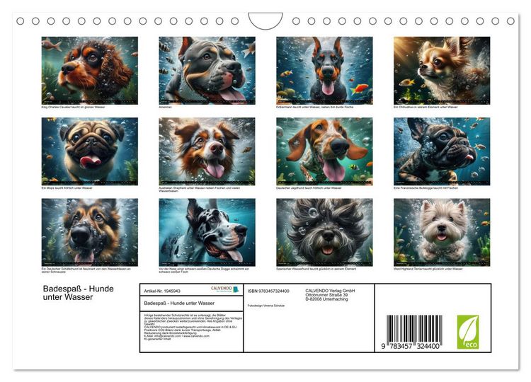 Produktbild: Badespa&szlig; - Hunde unter Wasser (Wandkalender 2026 DIN A4 quer), CALVENDO Monatskalender