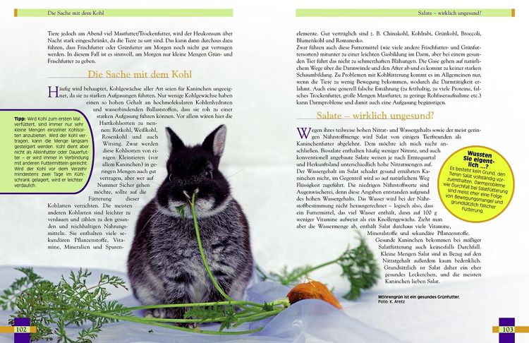 Produktbild: Leben mit Kaninchen