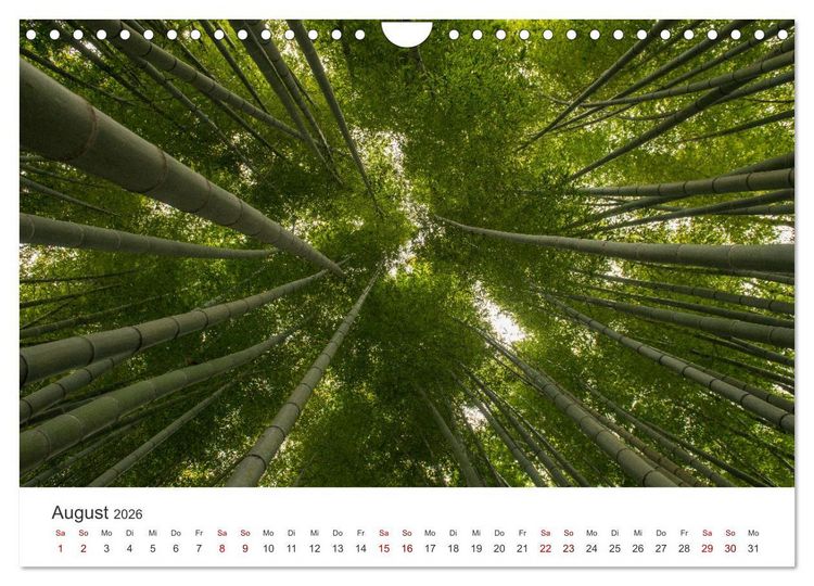 Produktbild: Japanischer Herbst und Laub (Wandkalender 2026 DIN A4 quer), CALVENDO Monatskalender