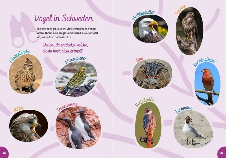 Produktbild: Schweden for kids