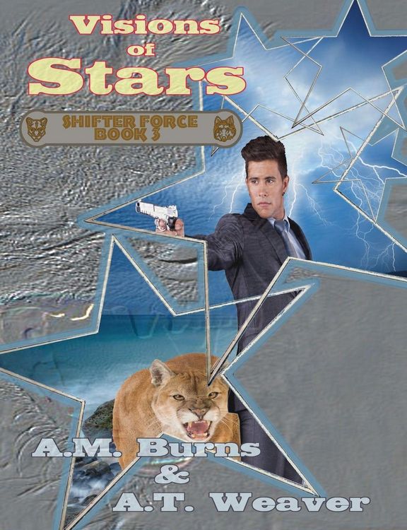 Produktbild: Visions of Stars