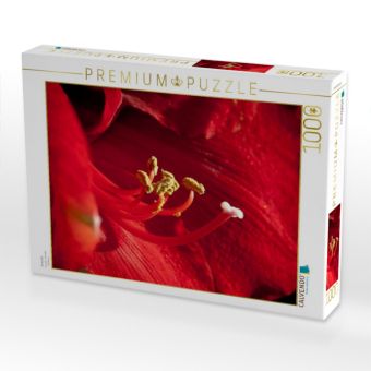 Produktbild: CALVENDO Puzzle Amaryllis | 1000 Teile Lege-Gr&ouml;&szlig;e 64x48cm Foto-Puzzle f&uuml;r gl&uuml;ckliche Stunden