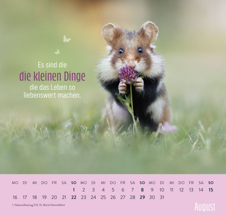 Produktbild: Wandkalender 2027: Kleine Gl&uuml;cksbringer f&uuml;r dein Jahr