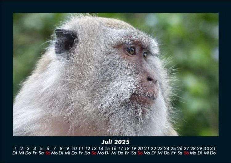 Produktbild: Bali 2025 Fotokalender DIN A5