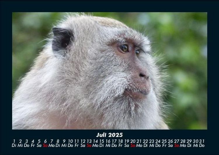 Produktbild: Bali 2025 Fotokalender DIN A5