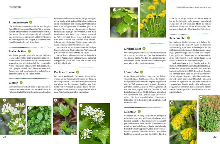 Produktbild: Der Selbstversorger: Mein Gartenwissen